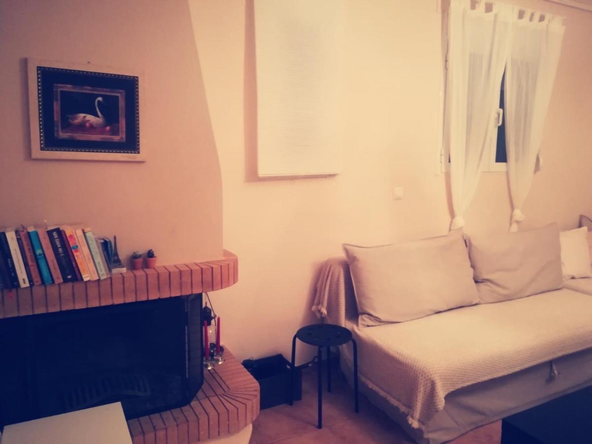 Lux House Next To The Airport Of Athens. Transport 24h Αρτέμιδα